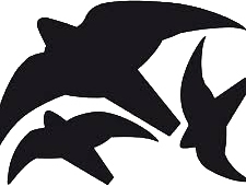 Aufkleber Raubvgel, Set 3 DIN A 3, 205mm bis 375m